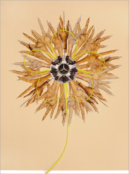 Fleur du mal nr. 23. 2014